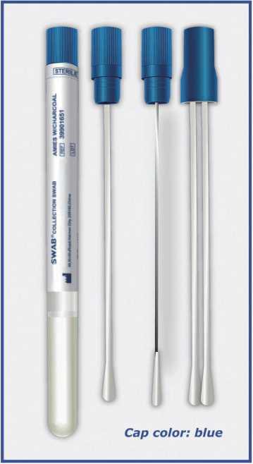 amies transport medium swabs