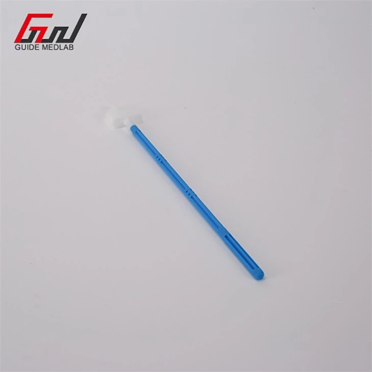 2 cervical cytology brush